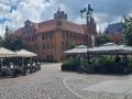 ziwedzamy-Torun-5